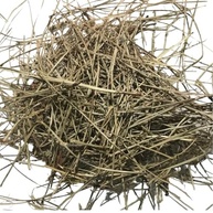 Agulha de Pinheiro 500Gr - imagem 2