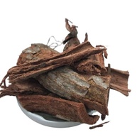 Cajueiro Casca 500Gr (Casca Desidratada) - imagem 2