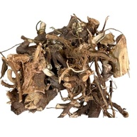 Algodão Raiz 500Gr (Raiz desidratada) - imagem 1