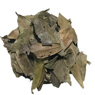 Jaborandi 500Gr (Ervas e Talos) - imagem 2