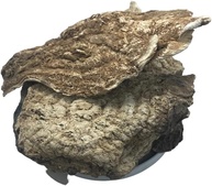 Jalapa 500Gr - imagem 1