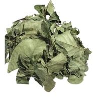 Mangaba Folha 500Gr (Ervas e Talos) - imagem 1