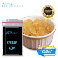 Scooby de Kombucha Ganhe Kefir De Água Colher De Pau + Tampa Voal + Frasco 500ml + Peneira - imagem 3