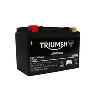Bateria SkyRich Lítio HJTZ14-S-FPZ 550A para Triumph Tiger 1200 | Potência e Durabilidade - imagem 2