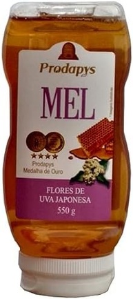 Bisnaga 550g de Mel Flores de Uva Japonesa - imagem 1