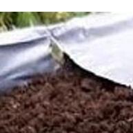 Terra Vegetal: Cultive Mais com 1, 3 e 5kg! - imagem 2