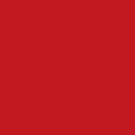 Niina Secrets Skinny Matte: Vermelho Hibisco 5ml - imagem 2