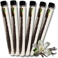KIT 6x Fava De Baunilha De Madagascar Tubo 2g EMPORIO TARTUFI - imagem 1