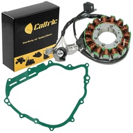 Caltric Estator e Junta para Yamaha Rhino 700 YXR700F 4x4 Fi (2008-2013) - Peças de Reposição de Alta Performance - imagem 1
