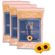 Farinha De Semente De Girassol Solarizada 750g 100% Pura Natural Sem Glúten Low Carb - imagem 2