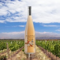 750ml-de-haut-vinho-alpes-bouquet-provence-mon-rose-frances-aoc