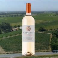 Vinho Branco Chileno Sol de Chile Varietal Sauvignon Blanc 750ml - imagem 4