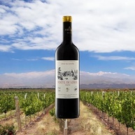 750ml-vinho-tinto-de-espanhol-portil-lobos