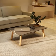 80x42-cm-tampo-macica-de-cinza-a-moderna-madeira-pes-e-mdf-em-mesa-centro-a