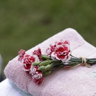 85x150-absorvente-toalha-luxuosa-a-de-rose-banho-macia-100-cm-em-icone-e-algodao-a