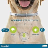 Seresto: Coleira Antipulgas e Carrapatos Até 8kg - imagem 2