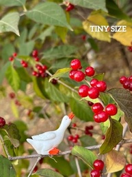 Tiny Garden Goose - 12 Estatuetas de Gansos em Miniatura para Jardins de Fadas e Terrários - imagem 5