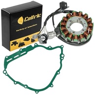 Caltric Estator e Junta para Yamaha Rhino 700 YXR700F 4x4 Fi (2008-2013) - Peças de Reposição de Alta Performance - imagem 2