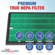 Filtro HEPA Verdadeiro LifeSupplyUSA para Rabbit Air BioGS 2.0 SPA-550A e SPA-625A - imagem 5