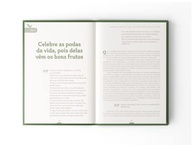 a-alem-vida-e-ir-transformar-para-40-sua-dias-plenitude-a