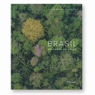 Volpi Popular: A Obra Completa e a Cultura Brasileira de Alfredo Volpi - imagem 3