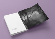 a-ao-prender-a-te-fim-vai-pesadelo-romantasia-sonho-do-que-inicio-e-a