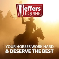 Jeffers Expression Botas de Cavalo Neon: Proteção e Estilo para Seu Equino - imagem 5