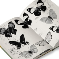 a-classica-definitiva-a-obra-biblia-rachel-de-pollack-do-tarot-a