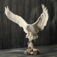 Coruja da Sabedoria Grande Veronese – Estátua Elegante para Decoração Inteligente - imagem 2
