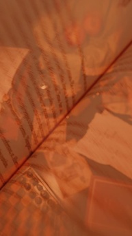 a-das-redimidas-e-modernas-contos-releituras-cristas-desencantadas-vilas-a