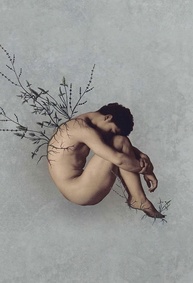 a-de-crivado-noturno-identidades-guerras-poesia-transcende-ceu-e-balas-que-a