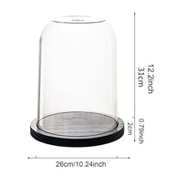 Vitrine Cúpula de Vidro Transparente 26x31cm: Exponha Joias e Tesouros com Elegância - imagem 4