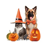 Decalque de Banheiro de Halloween - Adesivo Engraçado de Abóbora para Cachorro e Gato | Vinil Impermeável para Decoração de Parede - imagem 4