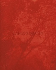 a-design-arquitetura-motta-jornada-e-marcenaria-criativa-uma-carlos-a