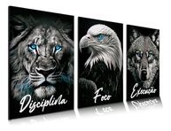 Quadro Decorativo 3 em 1 Leão Águia Lobo - Disciplina e Foco para Hall e Escritório - imagem 2