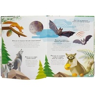 a-e-descubra-200-para-respostas-o-animal-criancas-perguntas-curiosas-fascinantes-mundo-a