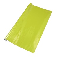 Película Protetora para Carro em Vinil PVC - Capa Total Anti-Risco 0,8m x 59,84" Verde Claro - imagem 1