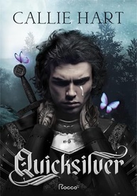 Quicksilver: Aventura Épica com Bolsa e Marcador Exclusivos - imagem 4