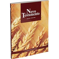 a-grande-testamento-clara-novo-leitura-e-letra-ntlh-confortavel-a