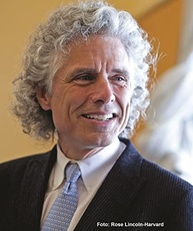 a-guia-elegancia-de-domine-precisao-de-escrita-pinker-a-clareza-steven-e-a