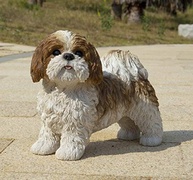 Presente Hi-Line Shih TZU Marrom e Branco - Decoração Realista e Elegante - imagem 2