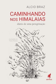 Caminhando nos Himalaias: Uma Peregrinação Inspiradora e Voluntariado - imagem 1