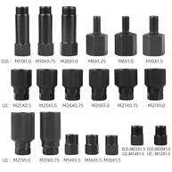 Kit Ferramentas Remoção Injetor Diesel Pneumático DAYUAN 21 Peças Profissional - imagem 5