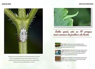 a-jardim-combata-no-e-guia-com-pragas-horta-eficiencia-essencial-a