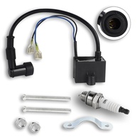 Kit Bobina de Ignição FLYPIG para Motores 49cc-80cc 2 Tempos - Potencialize Sua Moto! - imagem 1