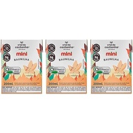 Kit 3X: Leite Vegetal Mini Baunilha Orgânico A Tal da Castanha 200ml - imagem 1