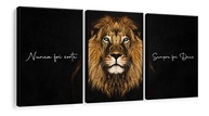 Kit 3 Quadros Decorativos Leão Nunca Foi Sorte - Luxo para Sala e Quarto - imagem 2