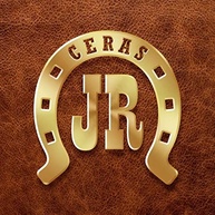 Limpa Couro JR 300ml: Restaure o Brilho de Bancos, Jaquetas, Sofás e Mais! - imagem 5