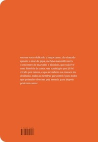 Todas as Mentiras Que Contei: Uma História de Amor e Descoberta em Pipa - imagem 3