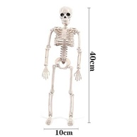 Mini Esqueleto Humano Articulado Newmind - 40 cm Educacional e Decorativo - imagem 3